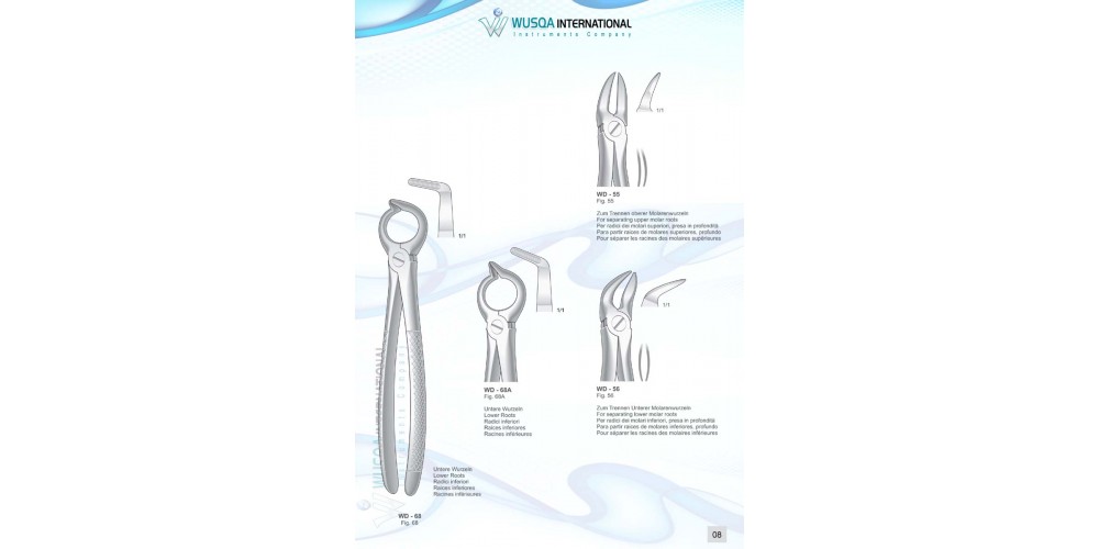 Extracting Forceps